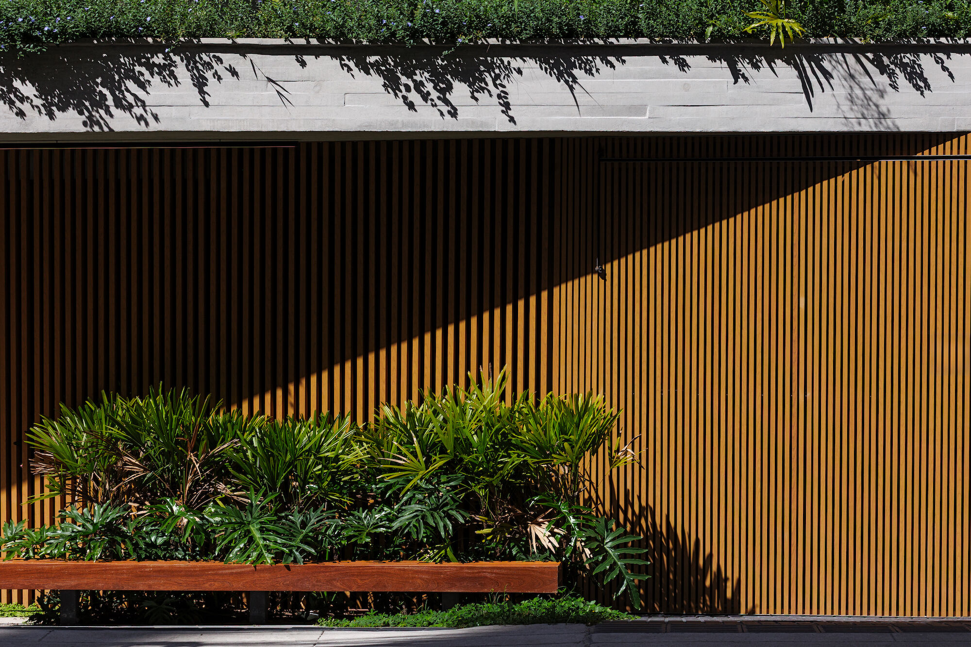 Detalhe do paisagismo — brises e vegetação
